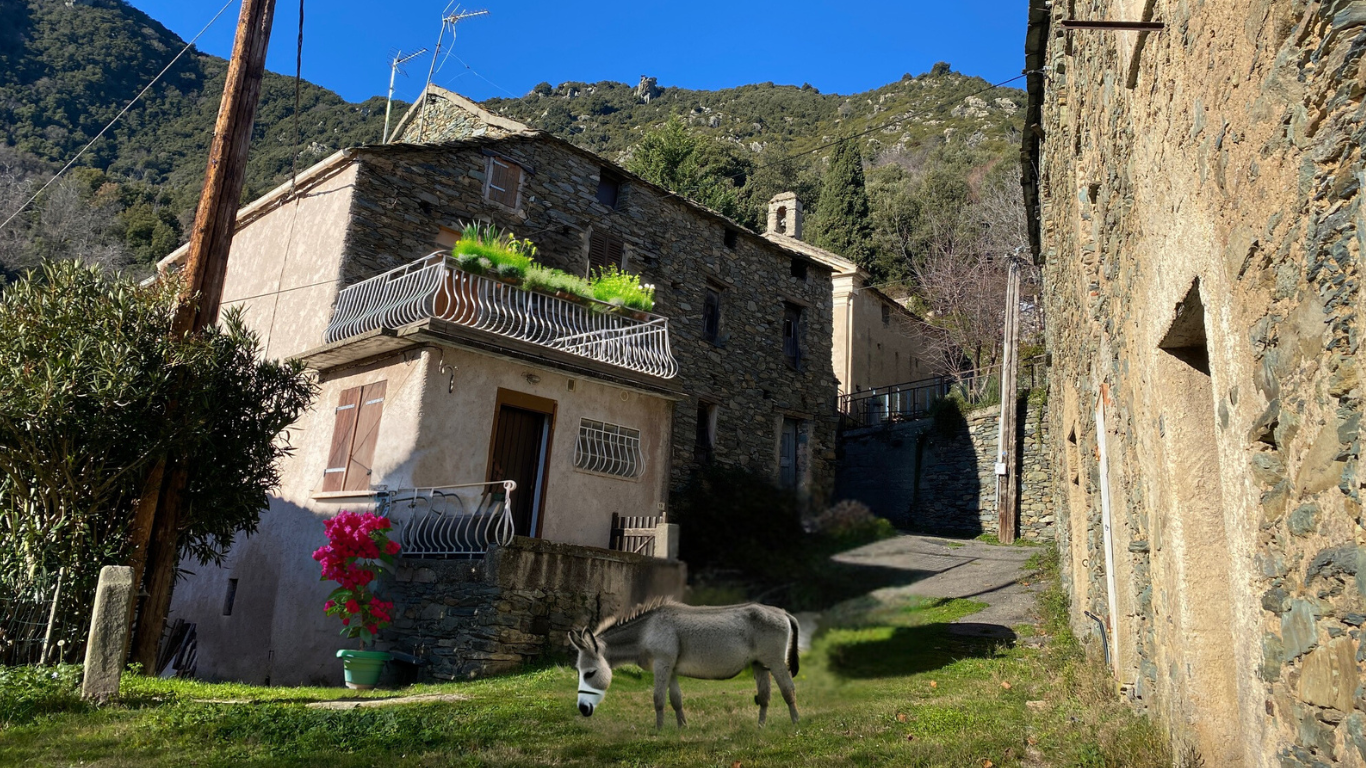 Maison de village en pierre
