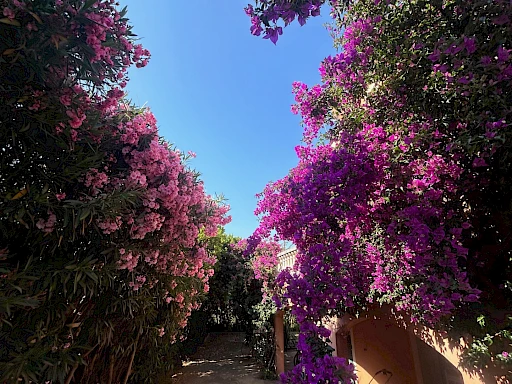 Villa de 190 m2 sur deux niveaux à 5 minutes de la plage.