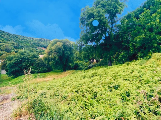 OLETTA : Terrain constructible nu.