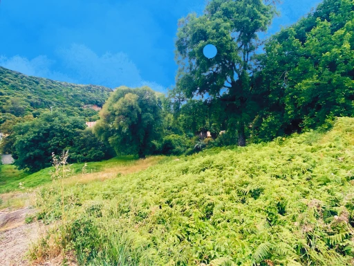 OLETTA : Terrain constructible nu.