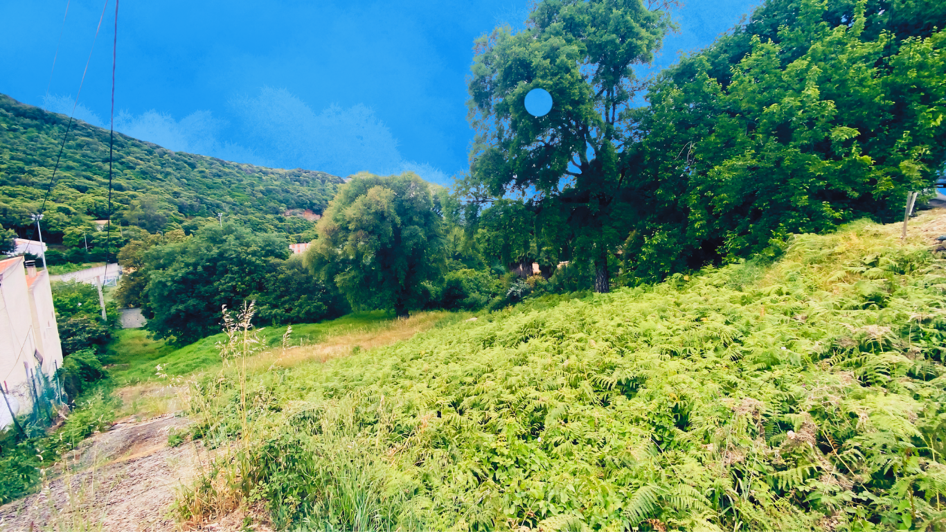 OLETTA : Terrain constructible nu.