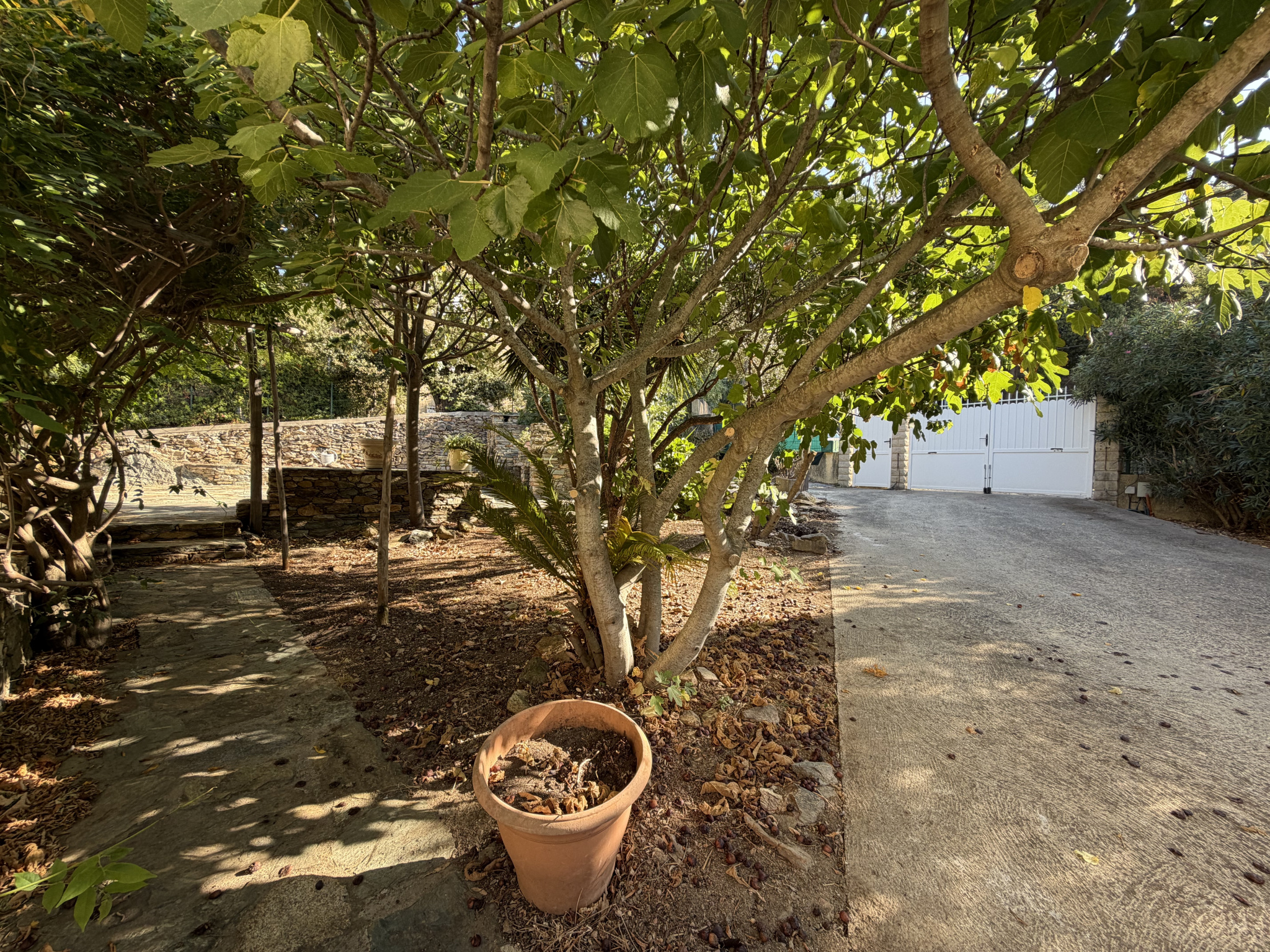 Villa individuelle avec terrasse, jardin et garage à BARBAGGIO