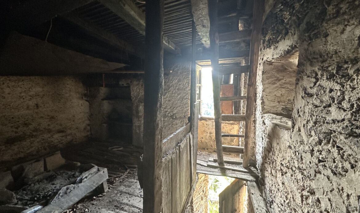 3d9b5402.jpg