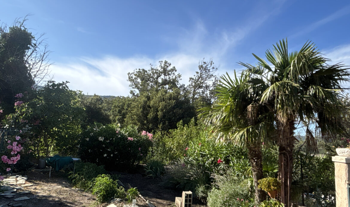 56c74c88.jpg