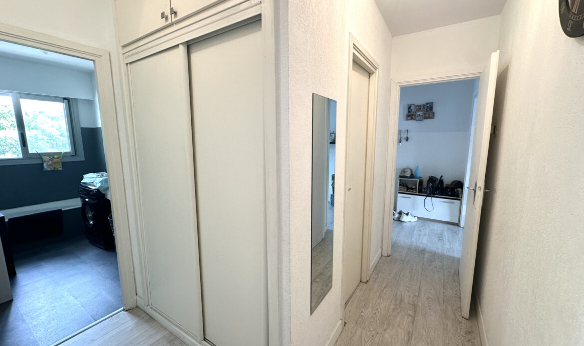 99177186.jpg