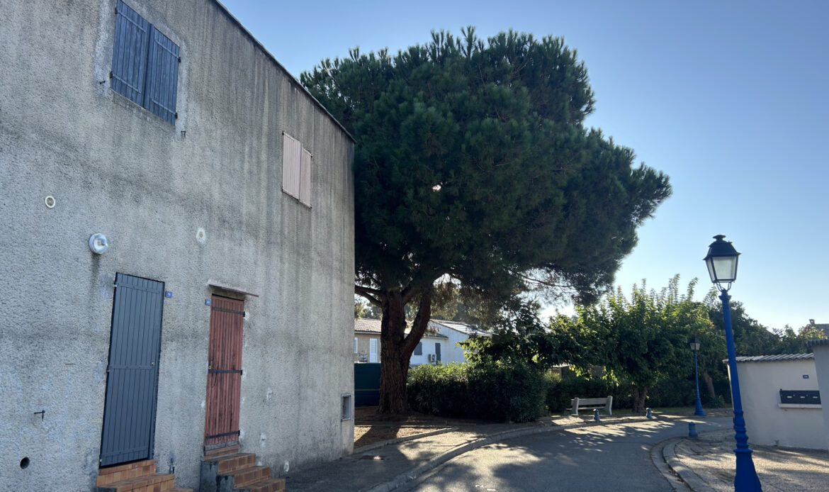 1222b316.jpg
