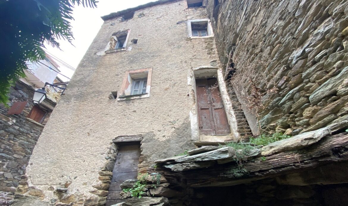 1014-7.jpg